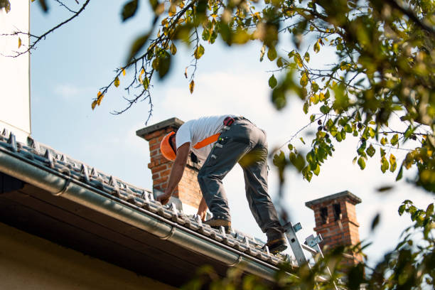 Best Flat Roof Repair Services  in Yellville, AR
